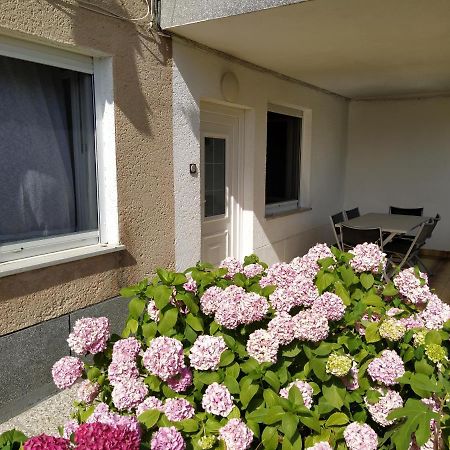 Apartments Buket Jagodje エクステリア 写真
